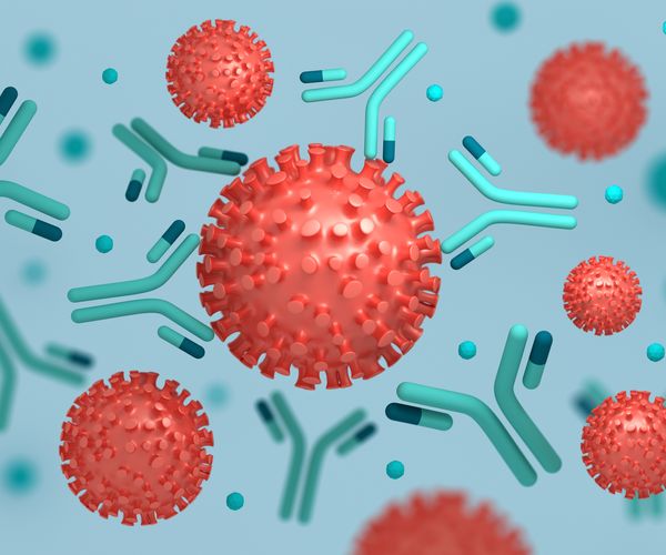IHC & Antibodies