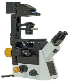 Octax Navilase